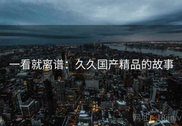 一看就离谱：久久国产精品的故事