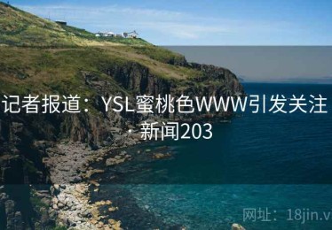 记者报道：YSL蜜桃色WWW引发关注 · 新闻203