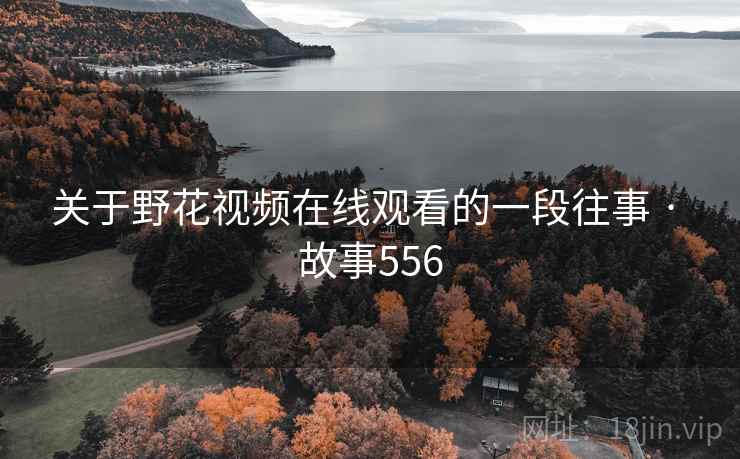 关于野花视频在线观看的一段往事 · 故事556 关于野花视频在线观看的一段往事 · 故事556