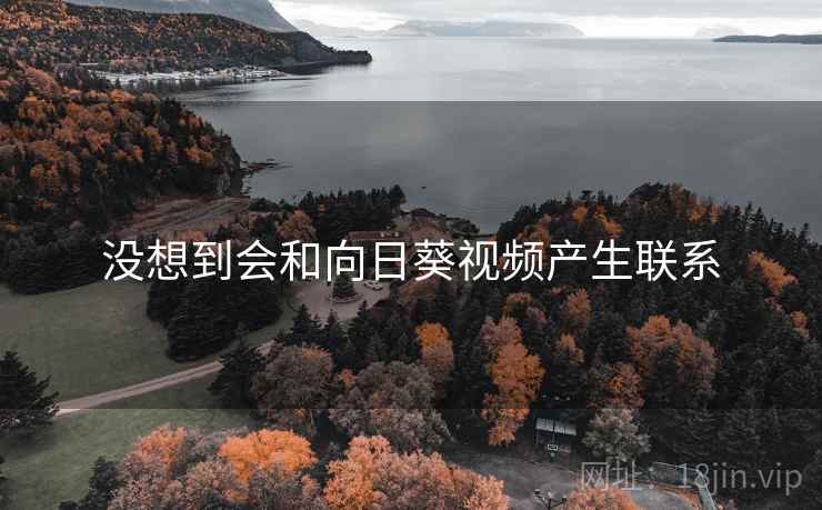 没想到会和向日葵视频产生联系